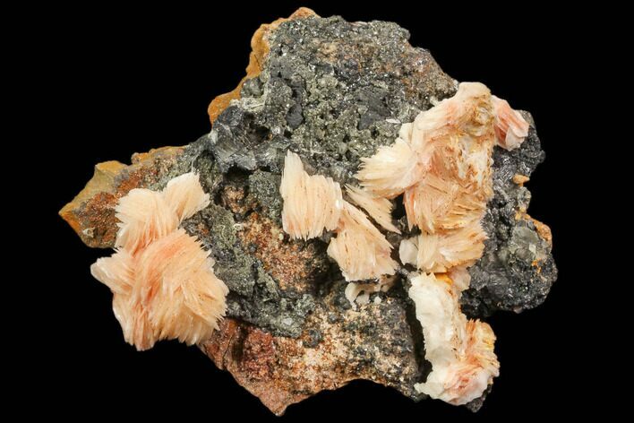 Cerussite Crystals with Bladed Barite on Galena - Morocco #82345